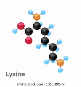 Molecular omposition and structure of Lysine, Lys, best for books and education