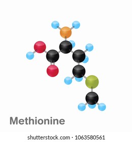 Molecular omposition and structure of Methionine, Met, best for books and education