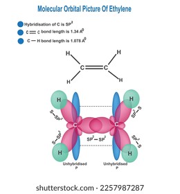 molecular orbital picture of ethylene, formation of sp2 hybridisation, vector illustration