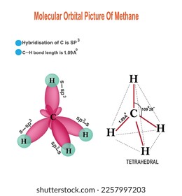 Molecular orbital picture of Methane, hybridisation of c in Methane is sp3, vector illustration on white background