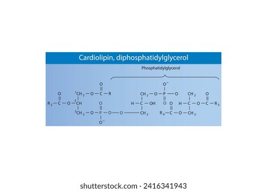 Molekularstruktur der Phosphorsäure. Grüne wissenschaftliche Vektorgrafik.