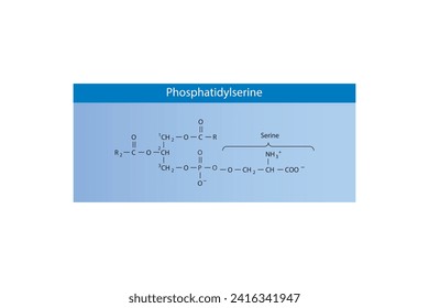 Molekularstruktur von Phosphatidylinositol. Blaue wissenschaftliche Vektorgrafik.