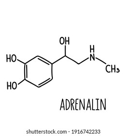 Molekulare strukturelle chemische Formel von Adrenalin. Vektorgrafik, handgezeichnet. 