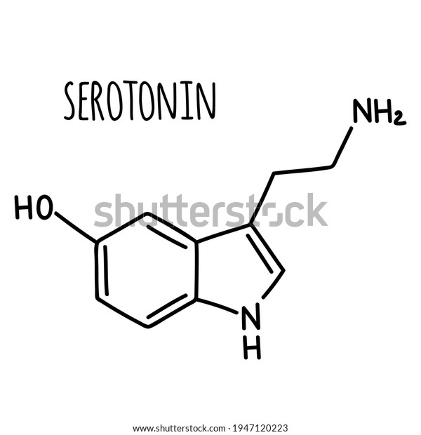 Molecular Structural Chemical Formula Serotonin Vector Stock Vector ...