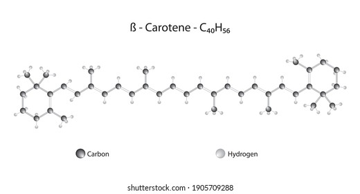 Molecular Structure Of Beta Carotene