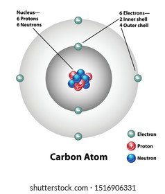 Molecular structure of a carbon atom. Electrons, protons, and neutrons are labeled. Nucleus and inner and outer shells.