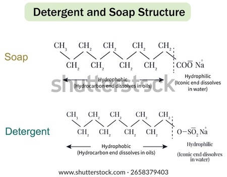 Molecular structure Detergent and Soap showing Hydrophobic and Hydrophilic Components  Diagrams. Understanding Detergent and Soap Molecules: Oil-Dissolving vs. Water-Dissolving Parts