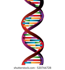 Molecular structure of DNA