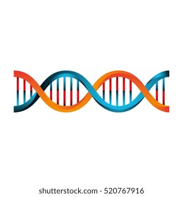 Molecular structure of DNA