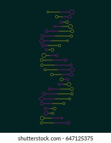 Molecular structure of DNA. DNA. Vector illustration.