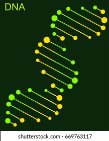 Molecular structure of DNA. DNA. Vector illustration.
