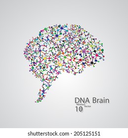 Molecular structure in the form of brain,  vector elegant illustration