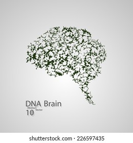 Molecular structure in the form of brain,  vector elegant illustration