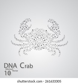 Molecular structure in the form of crab,  vector elegant illustration