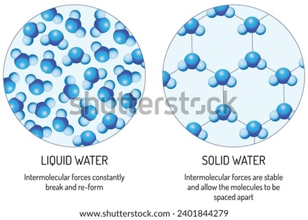 molecular structure of liquid water vs solid water, why does ice float on water?