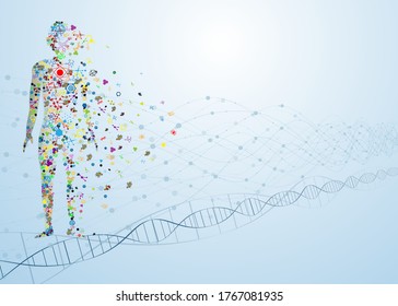 molecule abstract body concept of the human DNA chemistry science illustration 