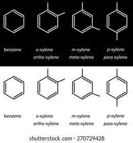 Molecule benzene, xylene ortho meta para isomers. Vector