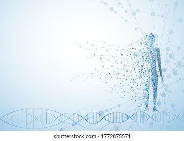 Molecule Body Concept Of The Human DNA Vector Chemistry Science Illustration