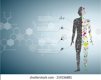Molecule body concept of the human DNA Eps10 