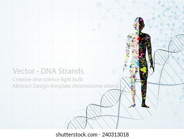 Molecule Body Concept Of The Human DNA Eps10