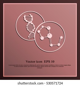 Molecule and DNA icon