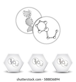 Molecule and DNA icon