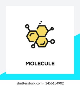 MOLECULE AND ILLUSTRATION ICON CONCEPT