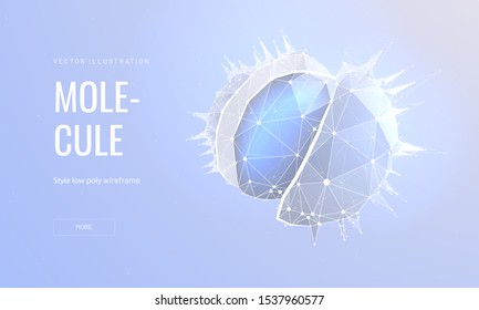 Molecule low poly wireframe landing page template. Medicine, physics, chemistry science web banner. 3d cell part polygonal illustration. Substance component mesh art homepage design layout