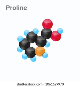 Molecule of Proline, Pro, an amino acid used in the biosynthesis of proteins