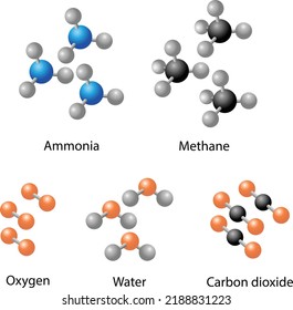 molecule, water, methane, oxygen, ammonia, carbon dioxide, molecules,