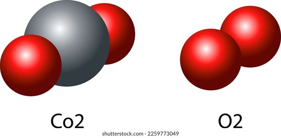 Molecules of carbon dioxide and oxygen illustration