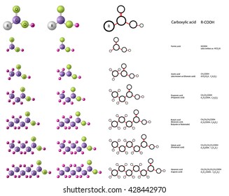 Molecules of carboxylic acid: formic, acetic, propionic, valeric, hexanoic