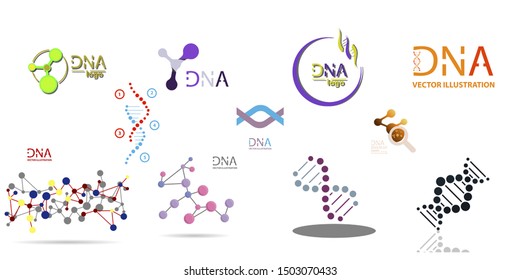 Molecules Concept of neurons and nervous system vector. Set of DNA structures.