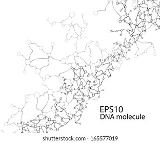 Molecules Concept of neurons and nervous system vector 