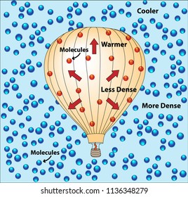 Molecules in a Hot-Air Balloon. Warmer molecules inside the balloon are denser than the cooler molecules in the air outside the balloon. The hot air rises.