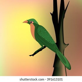 Molloha Birds
Molloha Birds  Sitting on the Tree Morning Time.    All elements are in separate layers co lour can be changed easily.        , 