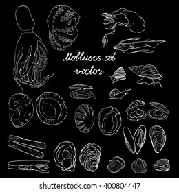 Molluscs set vector illustration. Black and white linear graphic. Easy to scale. Perfect for restaurant business, decorating, textile printing etc.