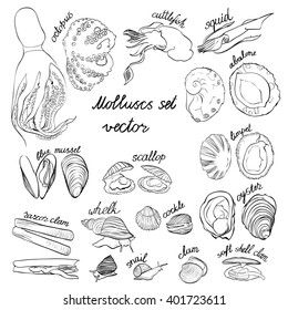 Molluscs set vector illustration. Black and white linear graphic. Easy to scale. Perfect for restaurant business, decorating, textile printing etc.