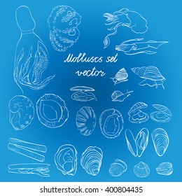 Molluscs set vector illustration. Blue and white linear graphic. Easy to scale. Perfect for restaurant business, decorating, textile printing etc.