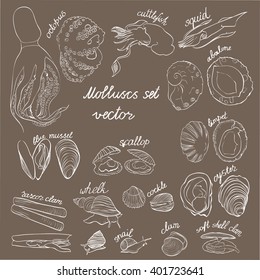 Molluscs set vector illustration. Brown and white linear graphic. Easy to scale. Perfect for restaurant business, decorating, textile printing etc.