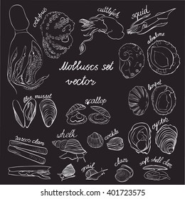 Molluscs set vector illustration. Dark grey and white linear graphic. Easy to scale. Perfect for restaurant business, decorating, textile printing etc.