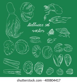 Molluscs set vector illustration. Green and white linear graphic. Easy to scale. Perfect for restaurant business, decorating, textile printing etc.