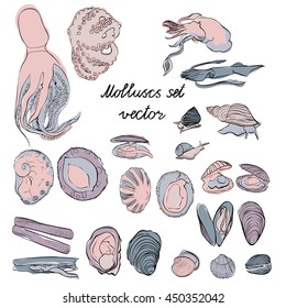 Molluscs set vector illustration. Pastel colors and black outline graphic. Easy to scale. Perfect for restaurant business, decorating, textile printing etc.