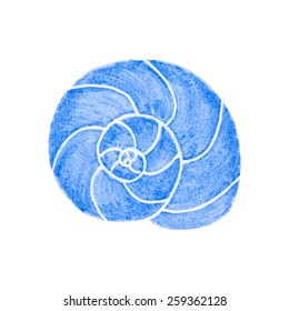 Molluscs shell.  Watercolor clam on the white background, aquarelle. Vector illustration. Hand-drawn marine decorative element useful for invitations, scrapbooking, design. 