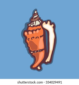 Molluscum. Seashell. Object isolated on a light background. 