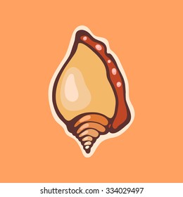 Molluscum. Seashell. Object isolated on a light background. 
