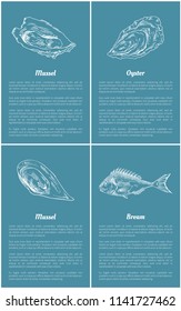 Mollusk and bream fish posters set with title text sample. Marine life unprepared seafood ingredients. Oyster with delicious meat vector illustration