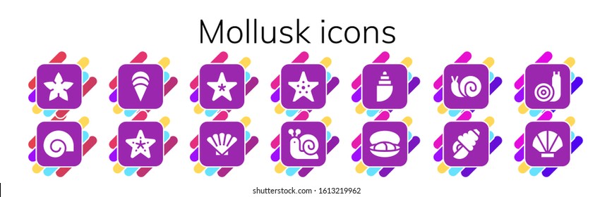 mollusk icon set. 14 filled mollusk icons.  Simple modern icons such as: Starfish, Shell, Clam, Snail, Mussel, Seashell