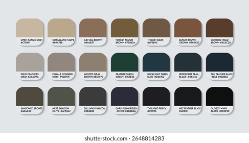 Paleta de cores Molothrus ater. Gráfico de amostra de tom de cor Molothrus com códigos HEX e nomes de cores. Pena de cowbird de cabeça marrom e cores do corpo tons variantes. Ênfase nos olhos colure novo vetor Paleta