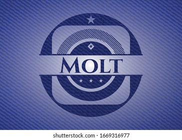 Emblema de tela con textura de jean. Ilustración vectorial. Detallado.